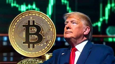 155e3e5e 08ef 4c78 b883 e2d67021fd56