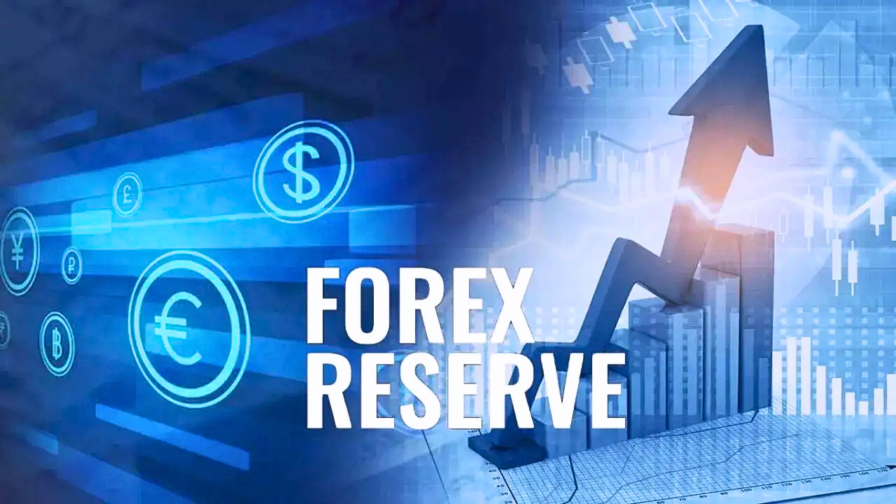 65e30c9b 6ff0 4a94 9811 28c39838ceb2 2